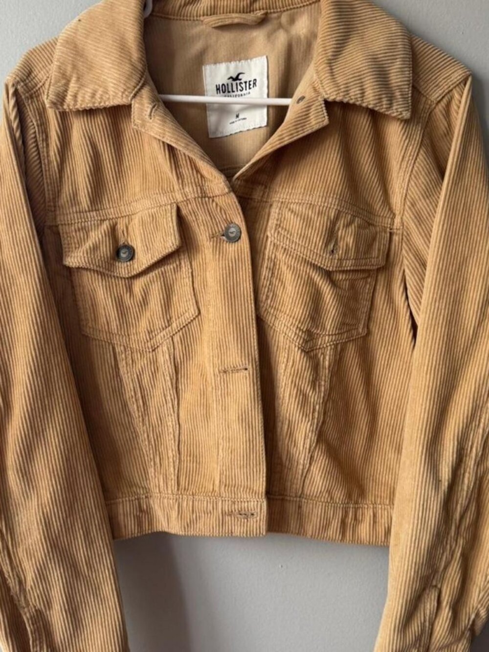 Hollister Co. Women's Tan and Yellow Jacket